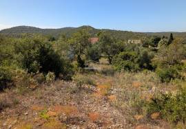 Charming Country Villa with Annex & Large Plot for Sale in Paderne, Algarve