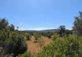 Charming Country Villa with Annex & Large Plot for Sale in Paderne, Algarve