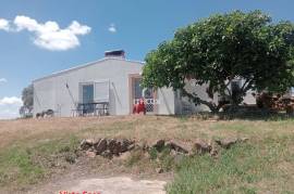 Estate 40.8 Hectares with Fantastic house with 3 Suites Estate 40.8 Hectares with Fantastic house with 3 Suites