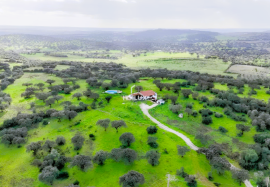 Estate 40.8 Hectares with Fantastic house with 3 Suites Estate 40.8 Hectares with Fantastic house with 3 Suites