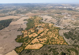 Estate 40.8 Hectares with Fantastic house with 3 Suites Estate 40.8 Hectares with Fantastic house with 3 Suites