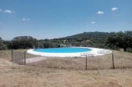 Estate 40.8 Hectares with Fantastic house with 3 Suites Estate 40.8 Hectares with Fantastic house with 3 Suites