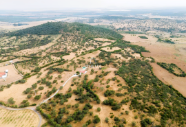 Estate 40.8 Hectares with Fantastic house with 3 Suites Estate 40.8 Hectares with Fantastic house with 3 Suites