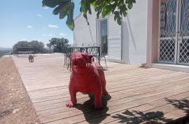 Estate 40.8 Hectares with Fantastic house with 3 Suites Estate 40.8 Hectares with Fantastic house with 3 Suites