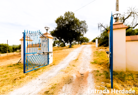 Estate 40.8 Hectares with Fantastic house with 3 Suites Estate 40.8 Hectares with Fantastic house with 3 Suites