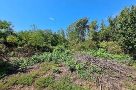 House To Renovate for Sale In Chervena Svishtov Bulgaria House To Renovate for Sale In Chervena Svishtov Bulgaria