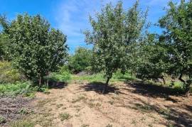 House To Renovate for Sale In Chervena Svishtov Bulgaria House To Renovate for Sale In Chervena Svishtov Bulgaria