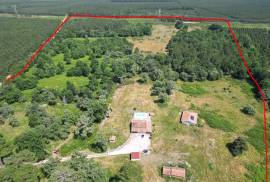 Sunning 5 Bed Estate For Sale In Pissos Landes France Sunning 5 Bed Estate For Sale In Pissos Landes France