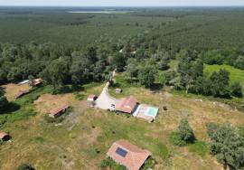 Sunning 5 Bed Estate For Sale In Pissos Landes France