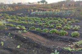 Eco Retreat With Panoramic Sea Views For Sale in Arrieta Las Palmas Lanzarote Spain Eco Retreat With Panoramic Sea Views For Sale in Arrieta Las Palmas Lanzarote Spain