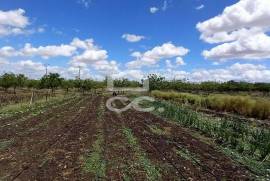 Farm located next to Beja