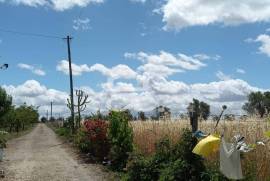 Farm located next to Beja