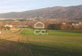 Farm with an area of 65496.5 m2,