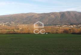 Farm with an area of 65496.5 m2,