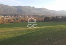 Farm with an area of 65496.5 m2,