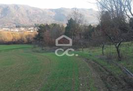 Farm with an area of 65496.5 m2,