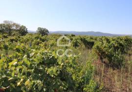 Fantastic terrain. Opportunity