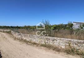 Fantastic terrain. Opportunity