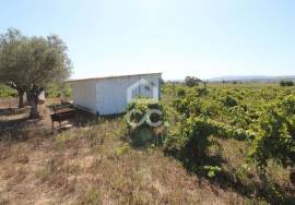 Fantastic terrain. Opportunity