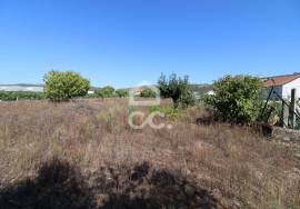 Fantastic terrain. Opportunity