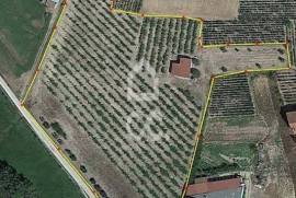 Fantastic terrain. Opportunity