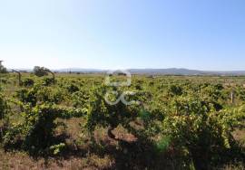 Fantastic terrain. Opportunity