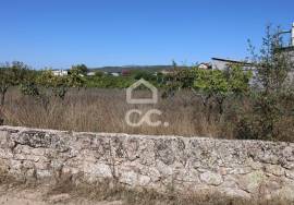 Fantastic terrain. Opportunity