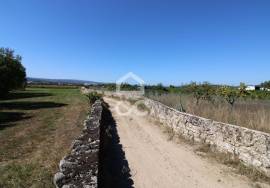 Fantastic terrain. Opportunity