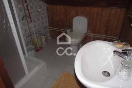 Farm with villa V3+1 located 12 km from the city center of Chaves