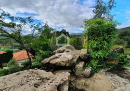 Farm with 4 bedroom villa on the outskirts of the city of Chaves