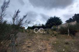Agricultural land with 3000m2 and an amazem already built on the outskirts of the city