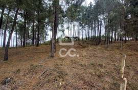 Agricultural land with 3000m2 and an amazem already built on the outskirts of the city