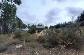 Agricultural land with 3000m2 and an amazem already built on the outskirts of the city