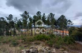 Agricultural land with 3000m2 and an amazem already built on the outskirts of the city