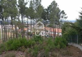 Agricultural land with 3000m2 and an amazem already built on the outskirts of the city