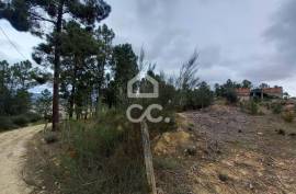 Agricultural land with 3000m2 and an amazem already built on the outskirts of the city