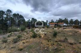 Agricultural land with 3000m2 and an amazem already built on the outskirts of the city