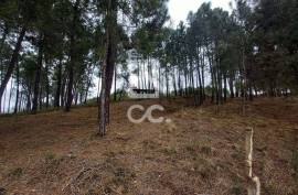 Agricultural land with 3000m2 and an amazem already built on the outskirts of the city