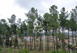 Agricultural land with 3000m2 and an amazem already built on the outskirts of the city