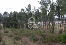 Agricultural land with 3000m2 and an amazem already built on the outskirts of the city