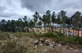 Agricultural land with 3000m2 and an amazem already built on the outskirts of the city