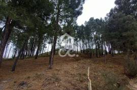 Agricultural land with 3000m2 and an amazem already built on the outskirts of the city