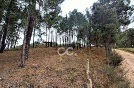 Agricultural land with 3000m2 and an amazem already built on the outskirts of the city