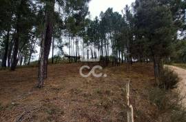 Agricultural land with 3000m2 and an amazem already built on the outskirts of the city