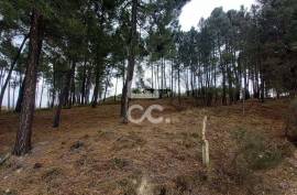 Agricultural land with 3000m2 and an amazem already built on the outskirts of the city