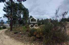 Agricultural land with 3000m2 and an amazem already built on the outskirts of the city