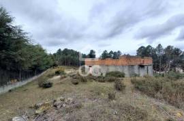 Agricultural land with 3000m2 and an amazem already built on the outskirts of the city
