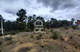 Agricultural land with 3000m2 and an amazem already built on the outskirts of the city