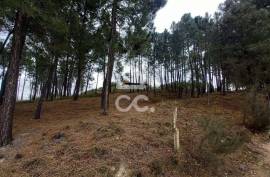 Agricultural land with 3000m2 and an amazem already built on the outskirts of the city