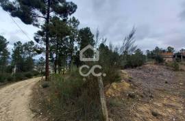 Agricultural land with 3000m2 and an amazem already built on the outskirts of the city